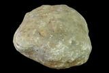 Keokuk Geode with Calcite Crystals - Missouri #135009-1